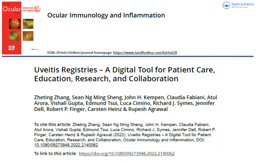 Cover page of the article "Uveitis Registries – A Digital Tool for Patient Care, Education, Research, and Collaboration" from the journal "Ocular Immunology and Inflammation".